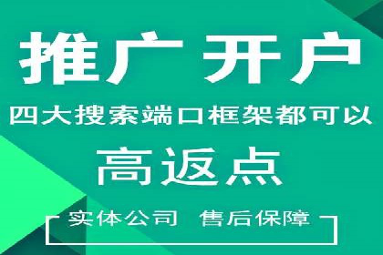 突破关键词竞价排名困境的案例解析